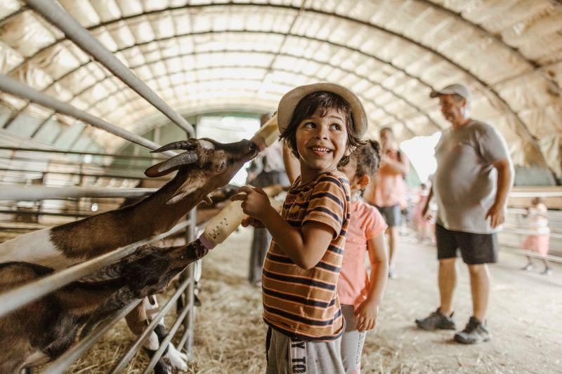 Près d'un Français sur deux (46%) rencontrent "beaucoup" ou "un peu" de difficultés financières pour partir au moins une fois par an en vacances. Un moment de découverte pourtant indispensable pour se construire tout au long de la vie.