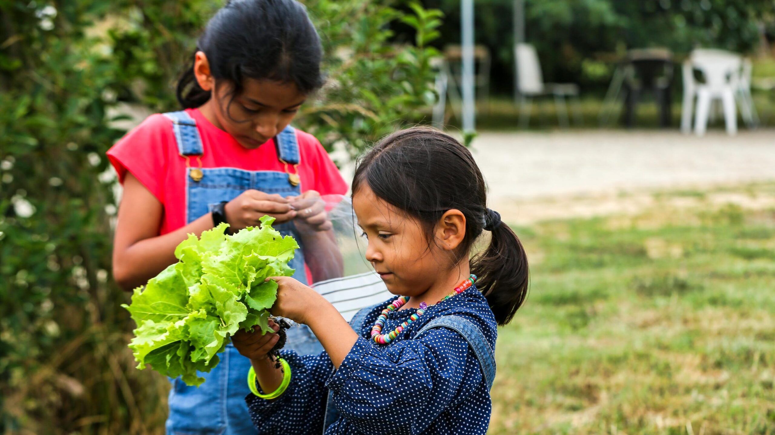 A Saverdun, les petits jardiniers du monde cultivent la Terre