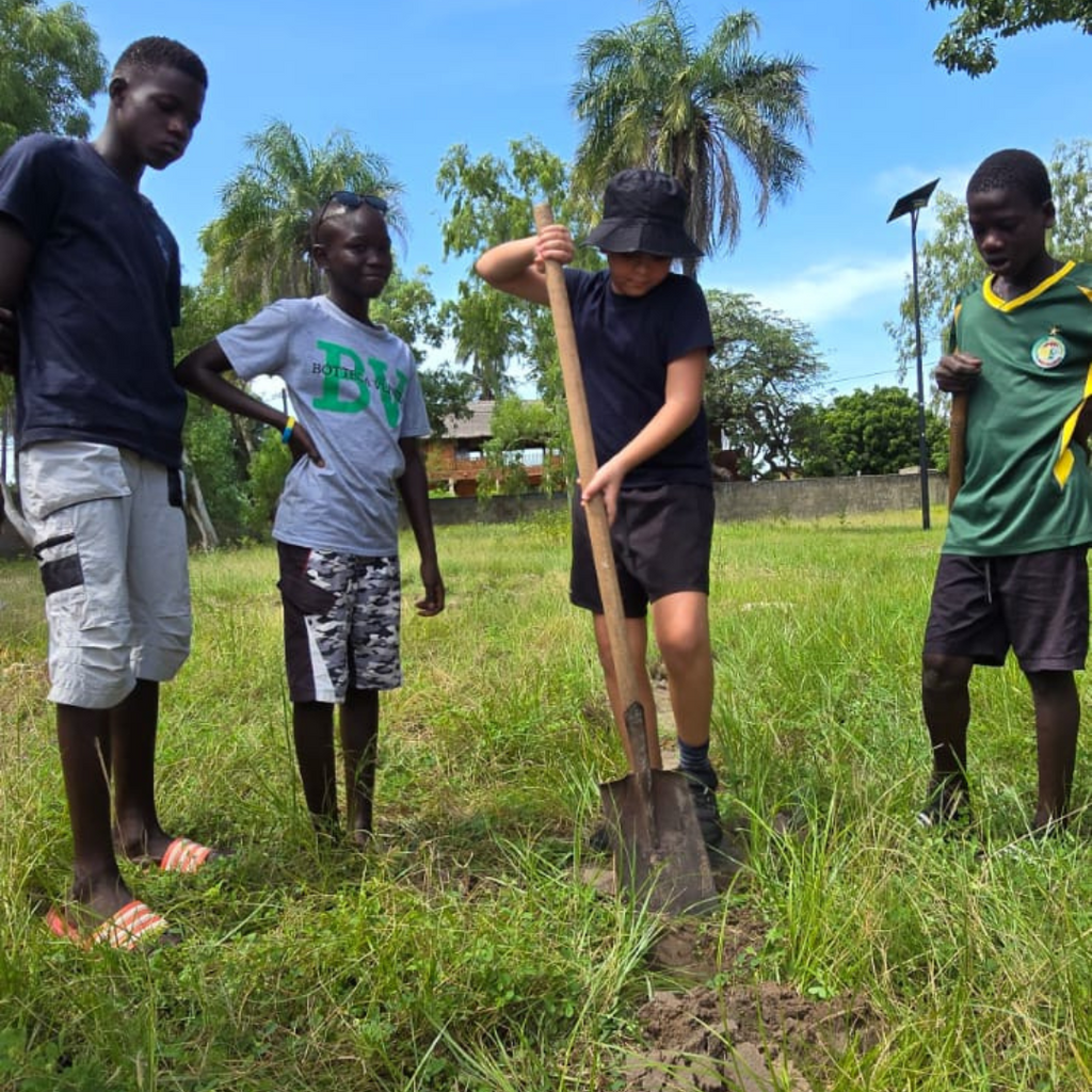 Plantation d'arbres au Sénégal