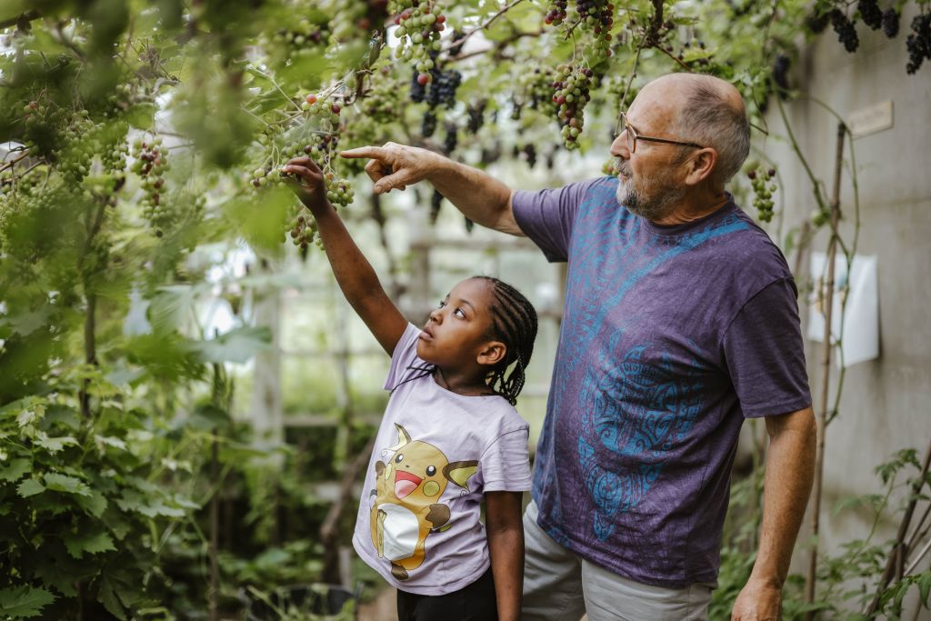 Un homme d'une soixantaine d'années montre à un enfant un fruit sur un arbre.