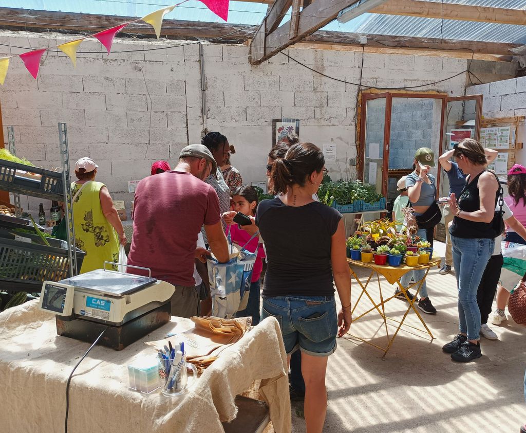 Marché bio à la ferme