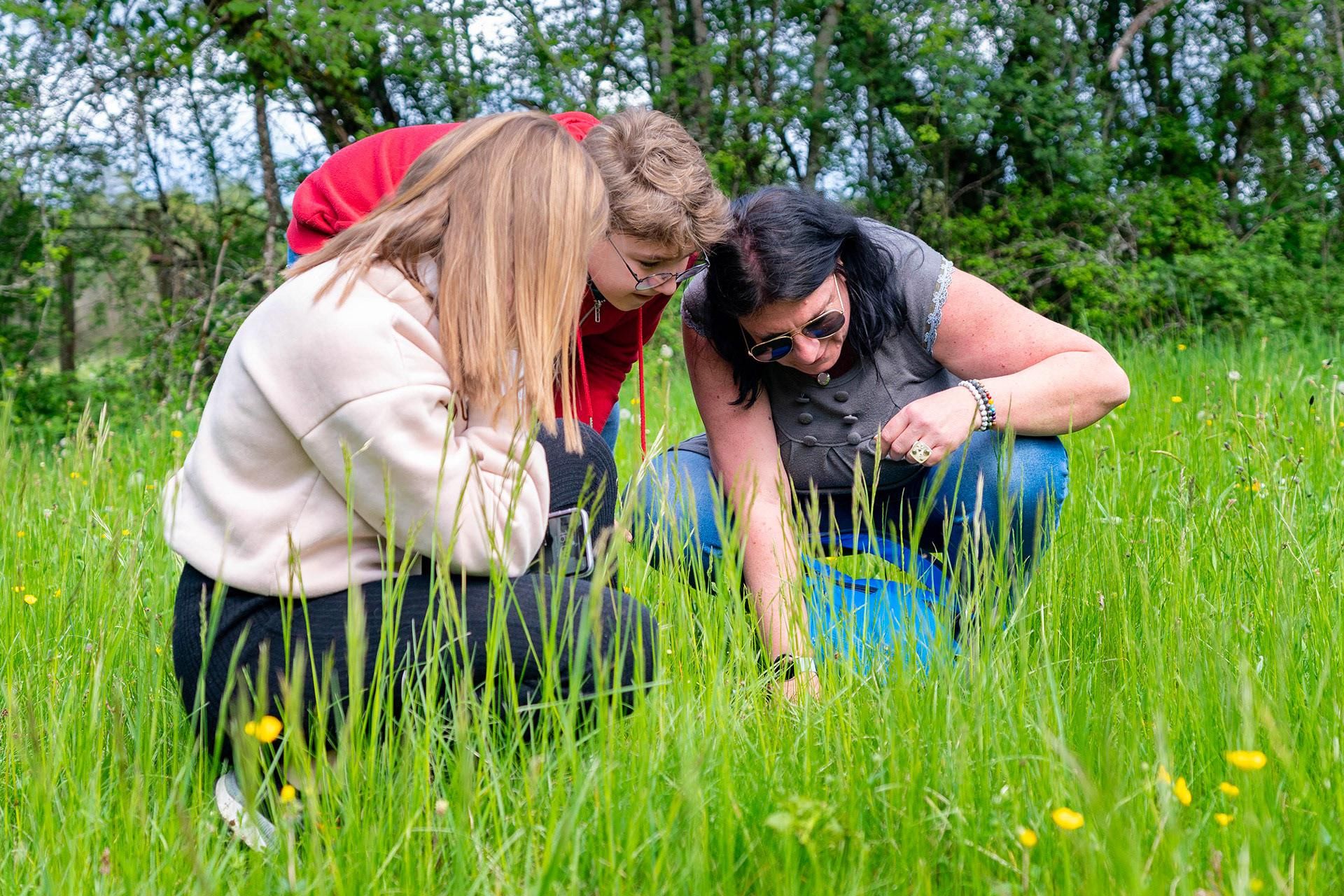 Autour du lac de Vouglans, la nature foisonne. Les occasions d'apprendre et de s'émerveiller sont multiples. Autour du lac de Vouglans, la nature foisonne. Les occasions d'apprendre et de s'émerveiller sont multiples.