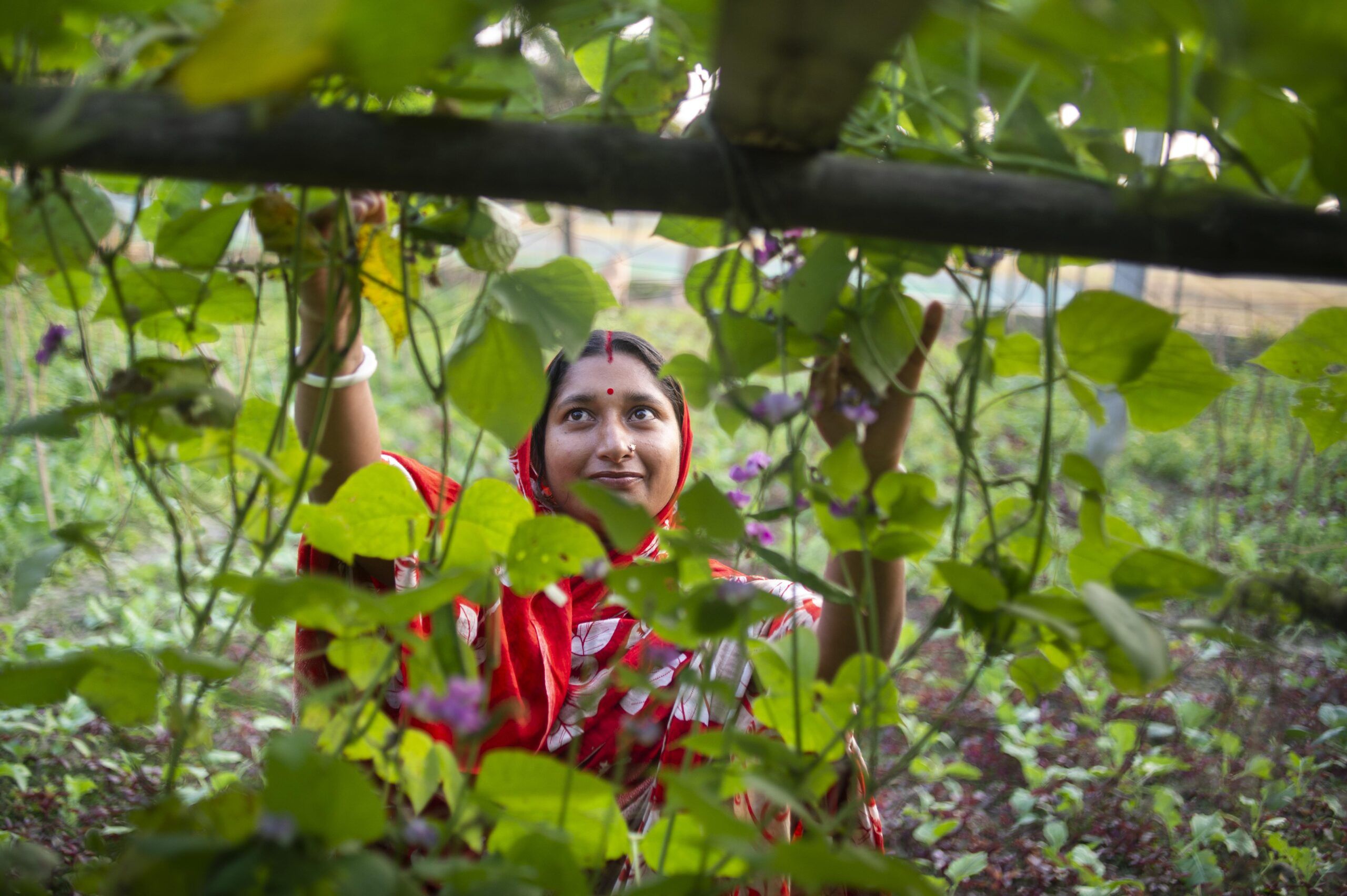 Bangladesh : 2020, une année au coeur de la tempête