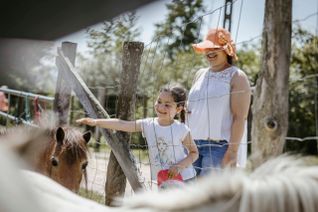 Don régulier Secours populaire