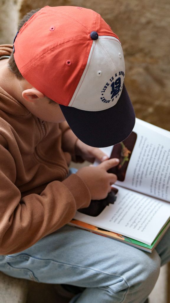 foire aux livres auxerre