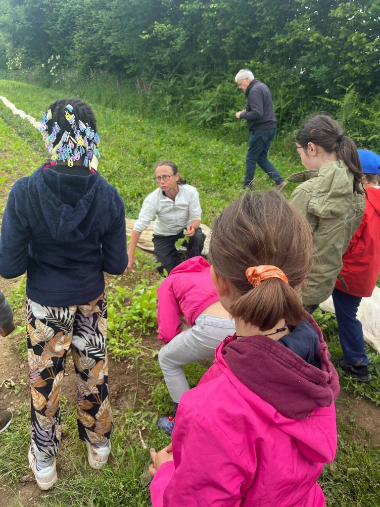 Des enfants en visite à la ferme