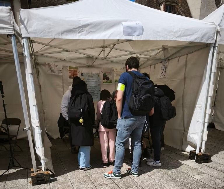 Les enfants répondant au questionnaire
copyright