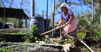 Leticia peut cultiver sa parcelle grâce au soutien de l’association salvadorienne La Canasta Campesina, partenaire du Secours populaire. Comasagua, février 2026. ©MVG Recinos/SPF