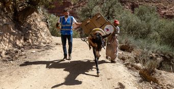 Distribution de panneaux solaires dans les zones touchées par le séisme