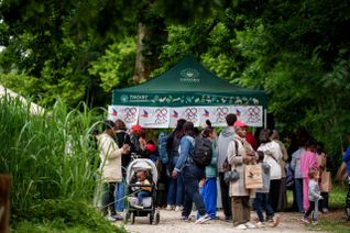 Le 24 mai, les fédérations d’Ile-de-France du Secours populaire lancent leur campagne « Vacances ». Pour l’occasion, elles invitent 6 000 personnes à passer la journée au parc animalier de Thoiry (le Wow Safari Thoiry). En familles, les personnes accompagnées par l’association profiteront d’un safari en bus de 10h à 11h avant de pouvoir déambuler à pied dans le parc le reste de la journée. Pour l’occasion, le parc sera entièrement privatisé.