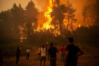 Feu de foret en Grèce