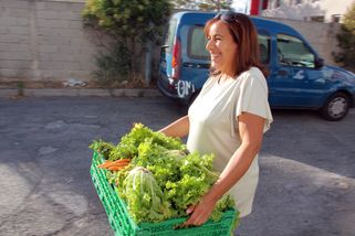 Des fruits et légumes pour les paniers