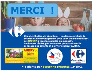 fleur_quetigny.jpg