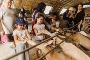 Les activités bénévoles prennent des formes multiples. Ici, un agriculteur accueille pour une Journée Bonheur des familles aidées toute l'année par le Secours populaire de Lons-le-Saunier (Jura)