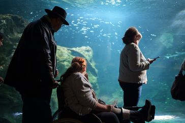 Une personne aidée en fauteuil roulant visite l'aquarium.