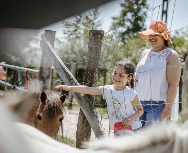 Don régulier Secours populaire